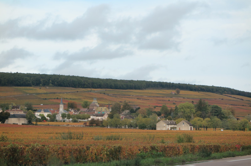 ansicht-aloxe Ansicht Aloxe-Corton